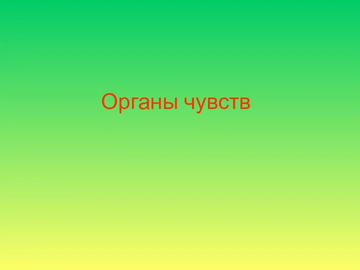 Органы чувств