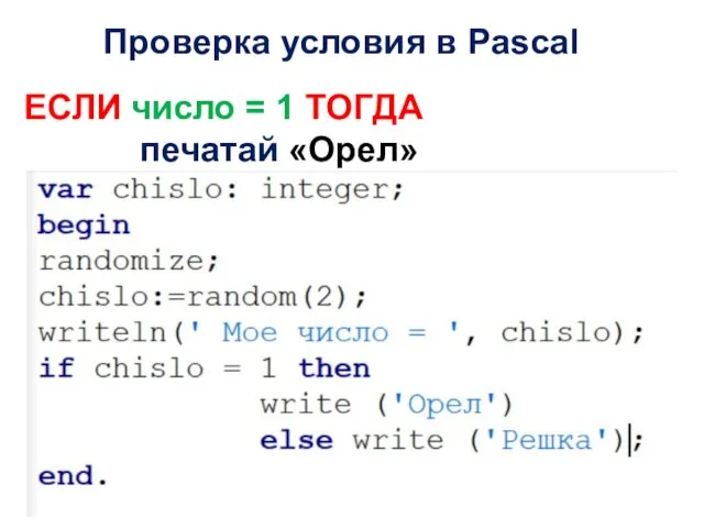 Проверка условия в Pascal ЕСЛИ число = 1 ТОГДА печатай «Орел» ИНАЧЕ печатай