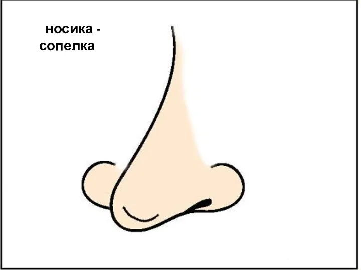 У носика - сопелка