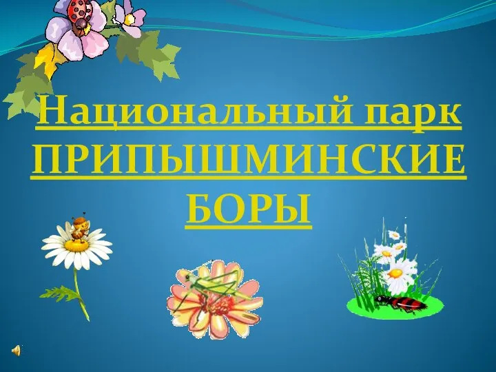 презентация Национальный парк Припышминские боры