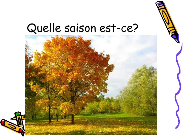 Quelle saison est-ce?