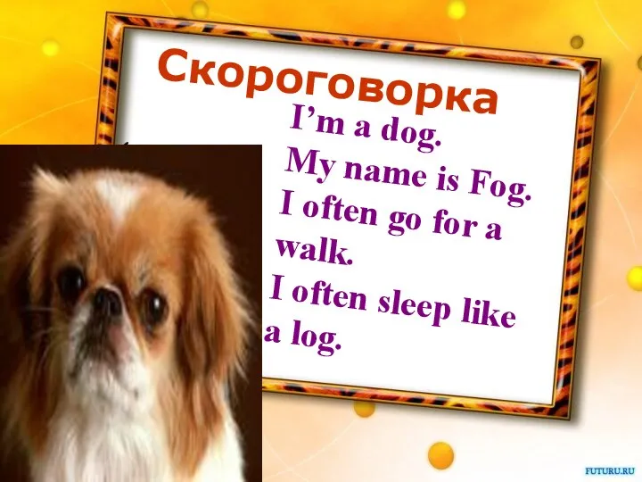 I’m a dog. My name is Fog. I often go for a walk.