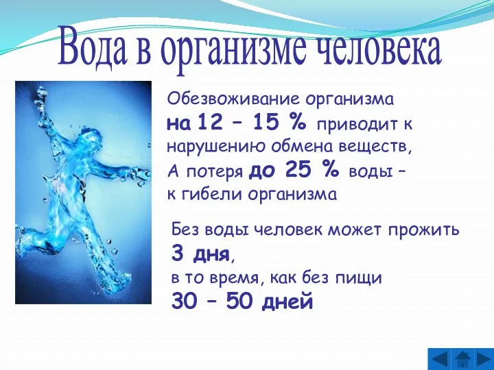 Вода в организме человека Обезвоживание организма на 12 – 15
