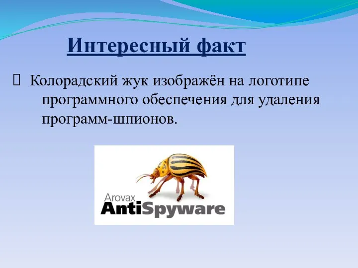 Колорадский жук изображён на логотипе программного обеспечения для удаления программ-шпионов. Интересный факт