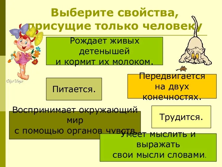 Воспринимает окружающий мир с помощью органов чувств. Питается. Передвигается на двух конечностях. Рождает