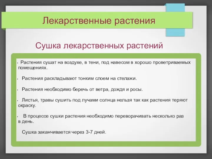 Лекарственные растения Сушка лекарственных растений Растения сушат на воздухе, в