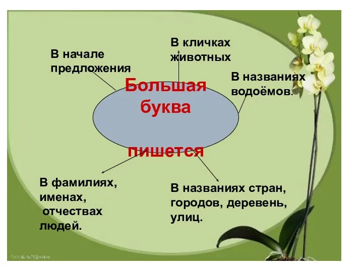 Большая буква пишется Большая буква пишется В начале предложения В