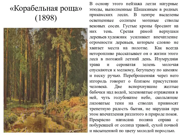 «Корабельная роща» (1898) В основу этого пейзажа легли натурные этюды, выполненные Шишкиным в