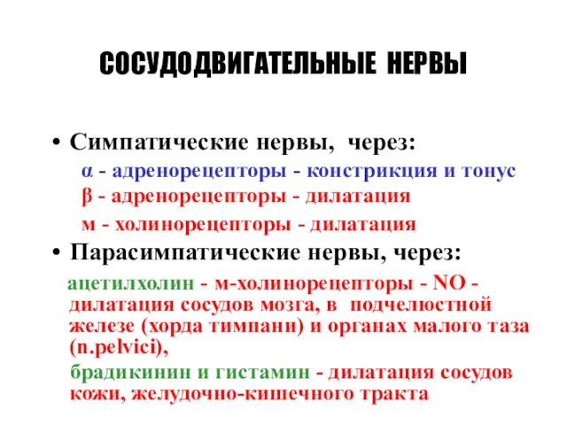 СОСУДОДВИГАТЕЛЬНЫЕ НЕРВЫ Симпатические нервы, через: α - адренорецепторы - констрикция