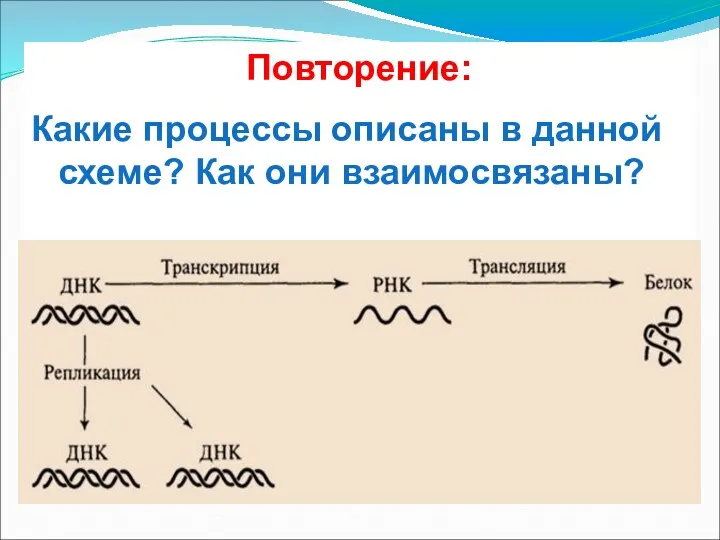 Повторение: Какие процессы описаны в данной схеме? Как они взаимосвязаны?