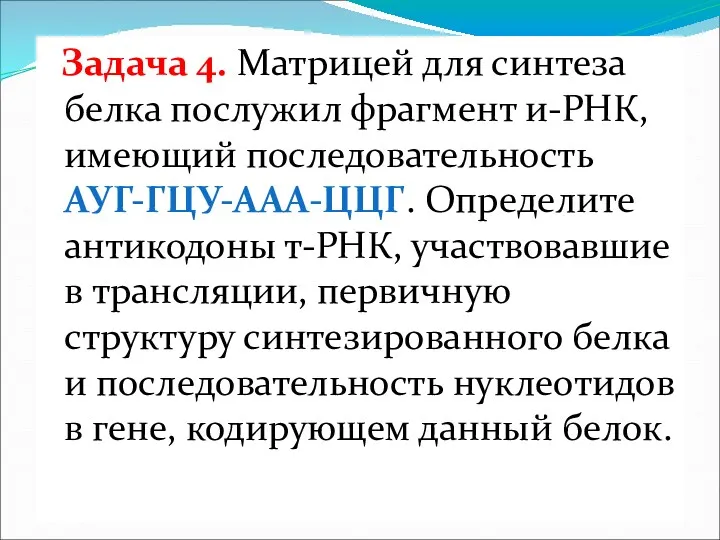 Задача 4. Матрицей для синтеза белка послужил фрагмент и-РНК, имеющий