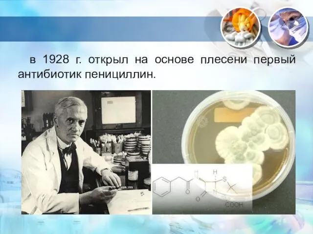 . в 1928 г. открыл на основе плесени первый антибиотик пенициллин.