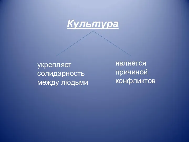 является причиной конфликтов Культура укрепляет солидарность между людьми