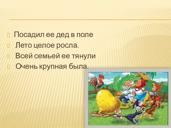 Посадил ее дед в поле Лето целое росла. Всей семьей ее тянули Очень крупная была.