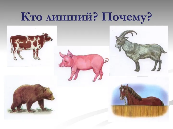 Кто лишний? Почему?