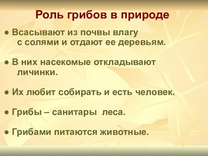 Роль грибов в природе Всасывают из почвы влагу с солями