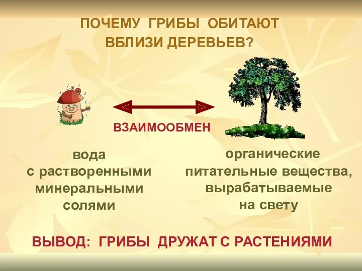 вода с растворенными минеральными солями органические питательные вещества, вырабатываемые на