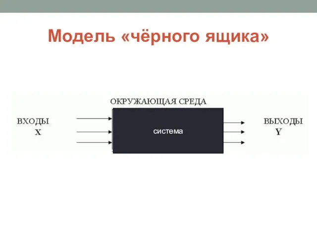 Модель «чёрного ящика» система
