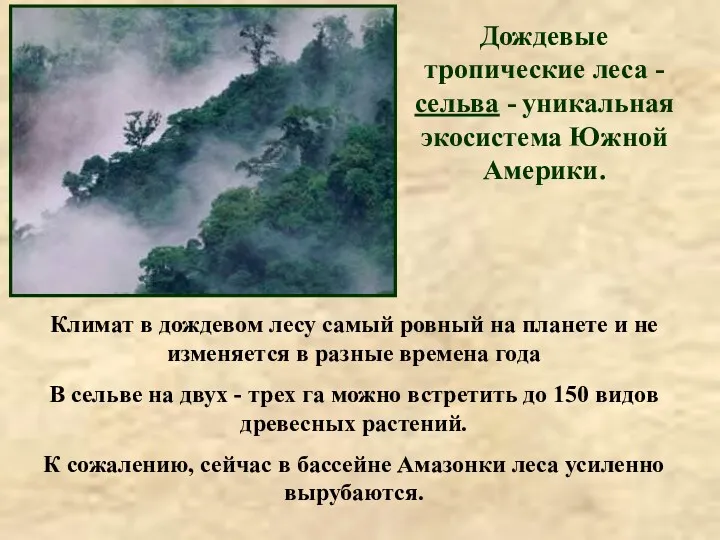 Дождевые тропические леса - сельва - уникальная экосистема Южной Америки.