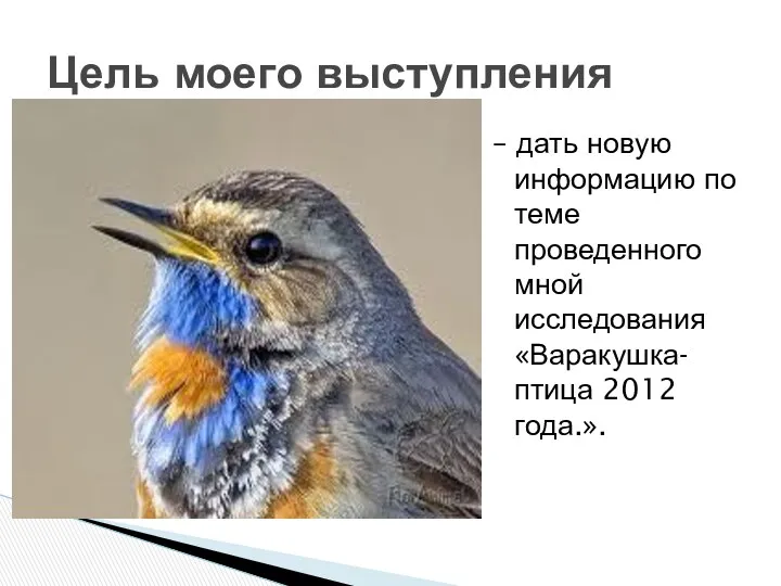 – дать новую информацию по теме проведенного мной исследования «Варакушка- птица 2012 года.». Цель моего выступления