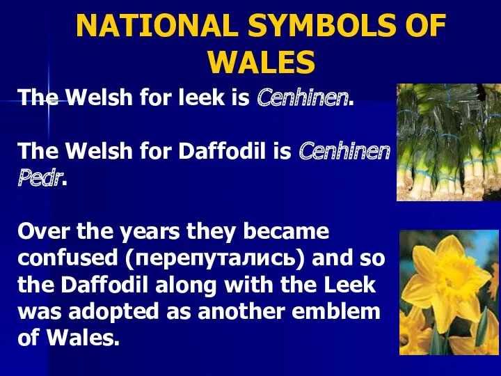 NATIONAL SYMBOLS OF WALES The Welsh for leek is Cenhinen.