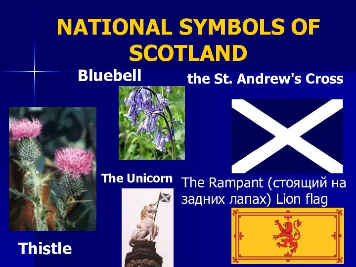 NATIONAL SYMBOLS OF SCOTLAND The Rampant (стоящий на задних лапах)