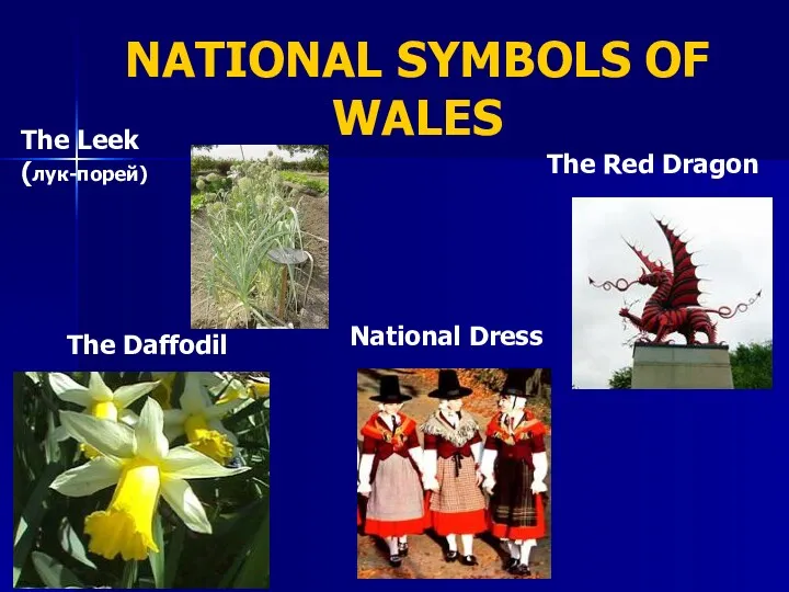 NATIONAL SYMBOLS OF WALES The Leek (лук-порей) National Dress The Red Dragon The Daffodil