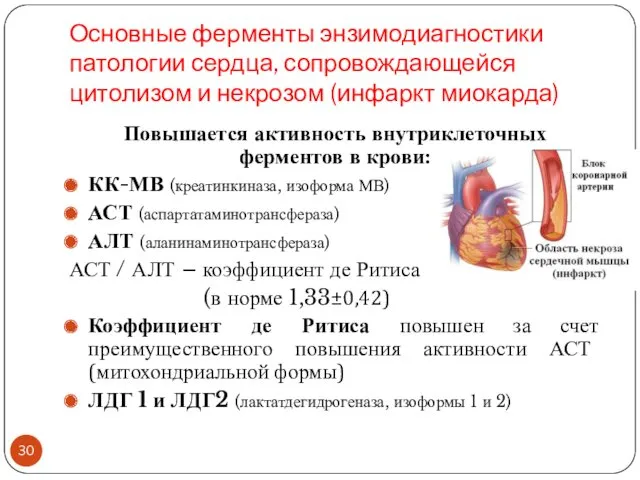 Основные ферменты энзимодиагностики патологии сердца, сопровождающейся цитолизом и некрозом (инфаркт миокарда) Повышается активность