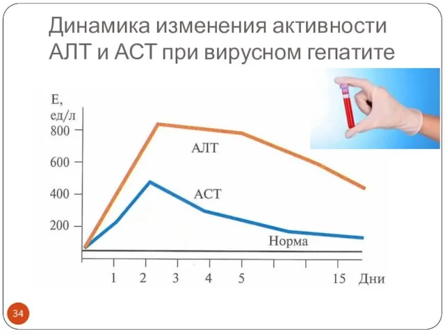 Динамика изменения активности АЛТ и АСТ при вирусном гепатите