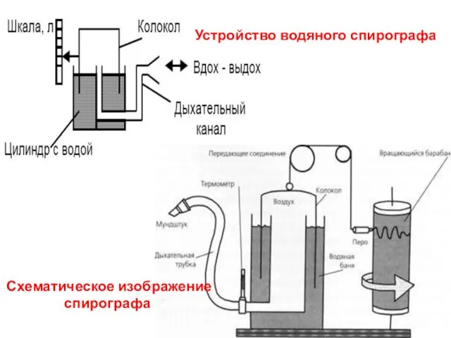Схематическое изображение спирографа Устройство водяного спирографа