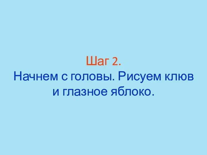 Шаг 2. Начнем с головы. Рисуем клюв и глазное яблоко.