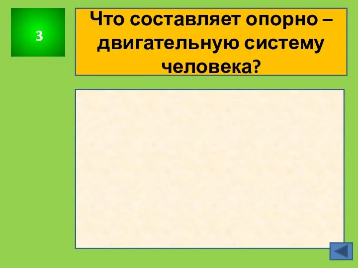 3 Что составляет опорно – двигательную систему человека?