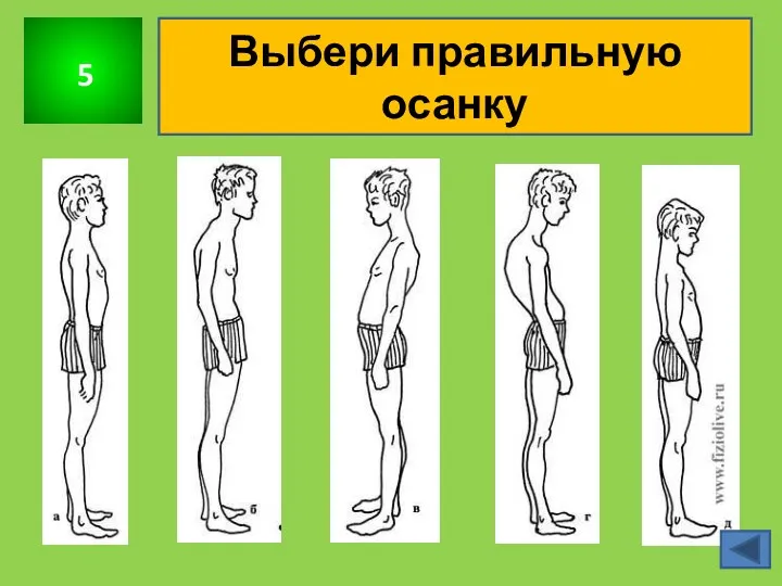 5 Выбери правильную осанку