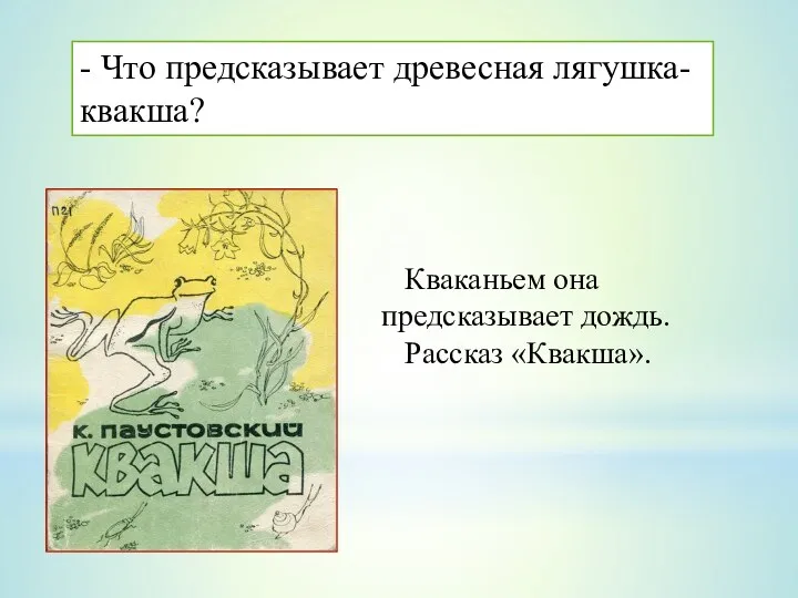 - Что предсказывает древесная лягушка-квакша? Кваканьем она предсказывает дождь. Рассказ «Квакша».