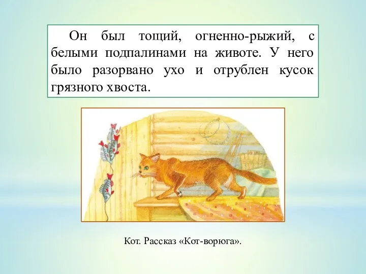 Он был тощий, огненно-рыжий, с белыми подпалинами на животе. У