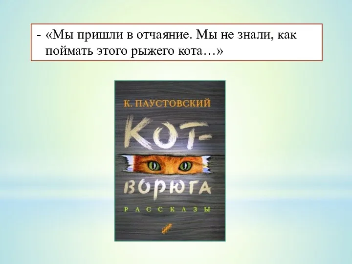 «Мы пришли в отчаяние. Мы не знали, как поймать этого рыжего кота…»