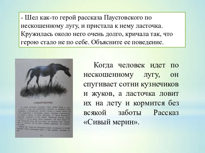 - Шел как-то герой рассказа Паустовского по нескошенному лугу, и