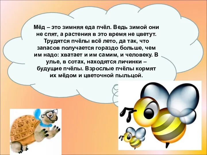 Мёд – это зимняя еда пчёл. Ведь зимой они не