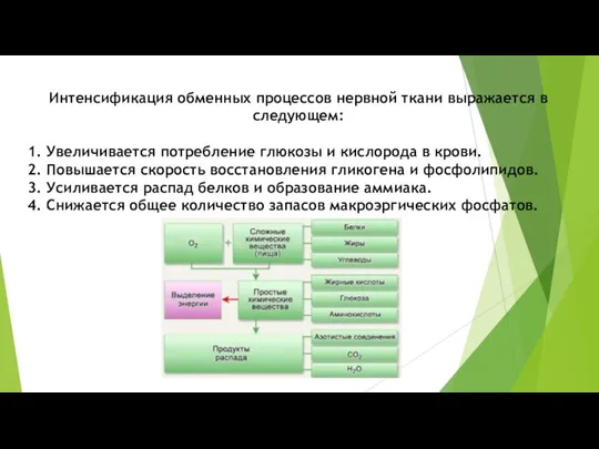 Интенсификация обменных процессов нервной ткани выражается в следующем: 1. Увеличивается потребление глюкозы и