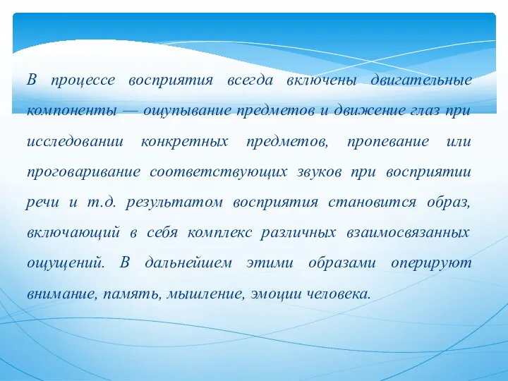 B процессе восприятия всегда включены двигательные компоненты — ощупывание предметов