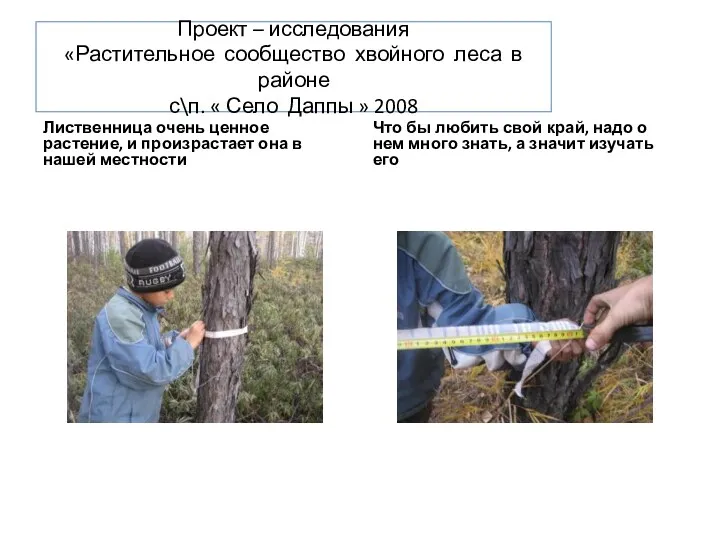 Проект – исследования «Растительное сообщество хвойного леса в районе с\п.