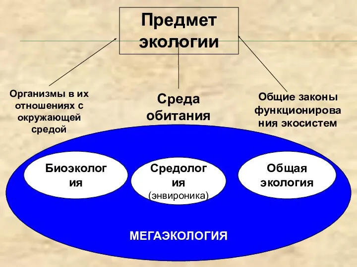 МЕГАЭКОЛОГИЯ Предмет экологии Организмы в их отношениях с окружающей средой