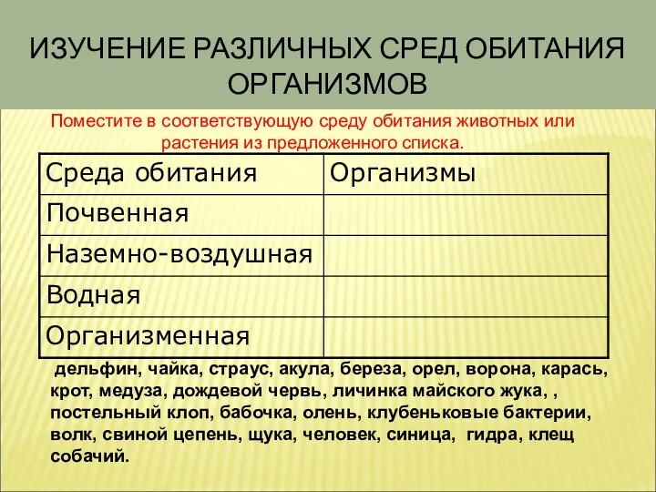 ИЗУЧЕНИЕ РАЗЛИЧНЫХ СРЕД ОБИТАНИЯ ОРГАНИЗМОВ дельфин, чайка, страус, акула, береза,