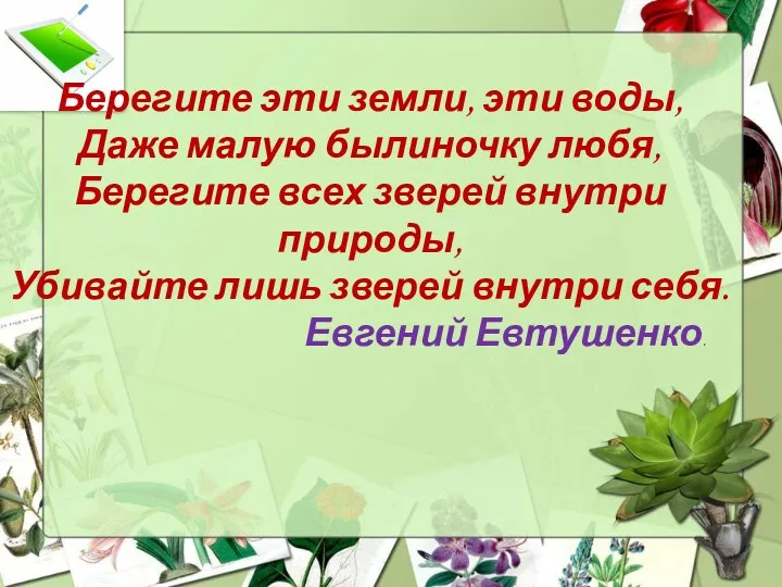 Берегите эти земли, эти воды, Даже малую былиночку любя, Берегите