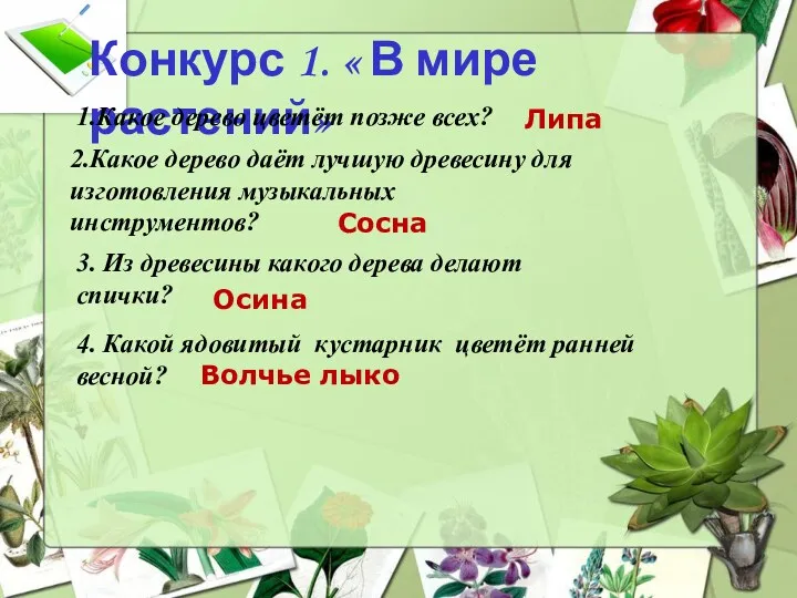 Конкурс 1. « В мире растений» 2.Какое дерево даёт лучшую