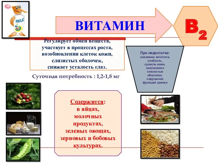 ВИТАМИН B2 Регулирует обмен веществ, участвует в процессах роста, возобновлении