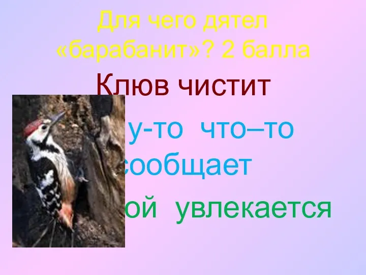 Для чего дятел «барабанит»? 2 балла Клюв чистит Кому-то что–то сообщает Музыкой увлекается