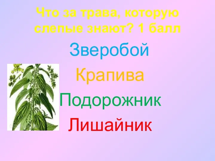 Что за трава, которую слепые знают? 1 балл Зверобой Крапива Подорожник Лишайник