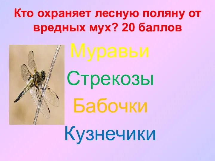 Кто охраняет лесную поляну от вредных мух? 20 баллов Муравьи Стрекозы Бабочки Кузнечики