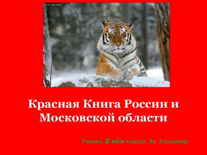 Презентации учащихся Красная книга России